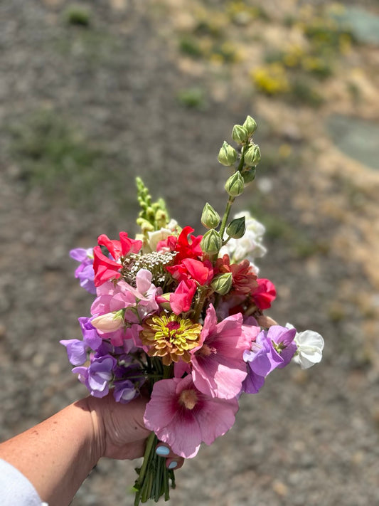 Small Seasonal Bouquet