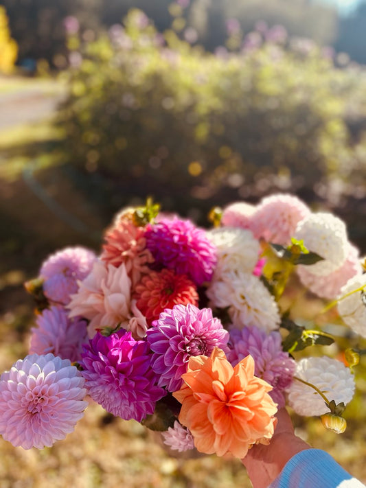 Large Seasonal Bouquet