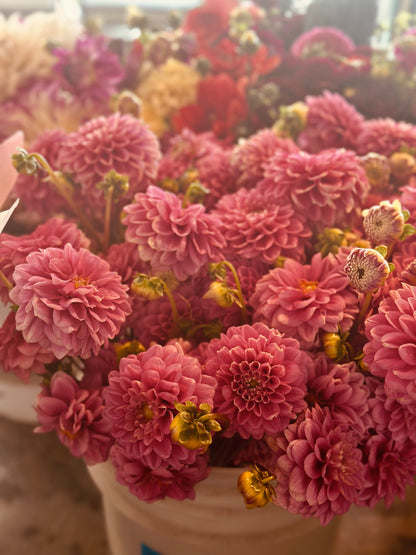 Large Seasonal Bouquet