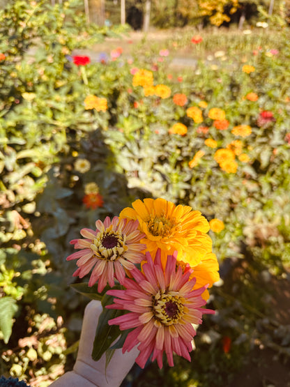 Small Seasonal Bouquet