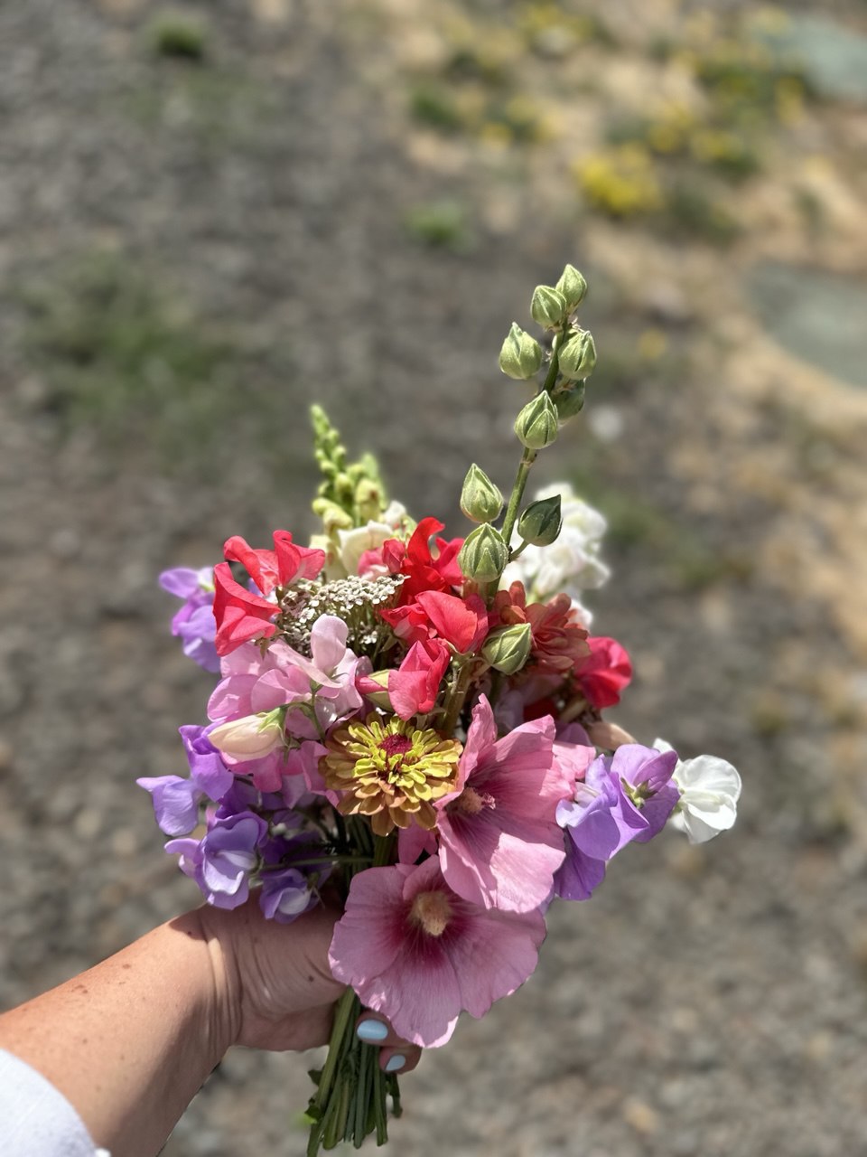 Small Seasonal Bouquet
