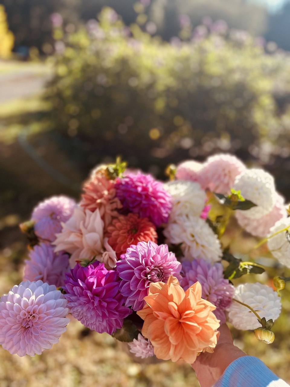 Large Seasonal Bouquet
